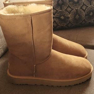 Chestnut UGG Boots